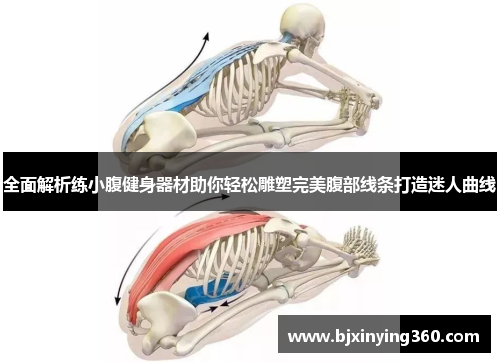全面解析练小腹健身器材助你轻松雕塑完美腹部线条打造迷人曲线