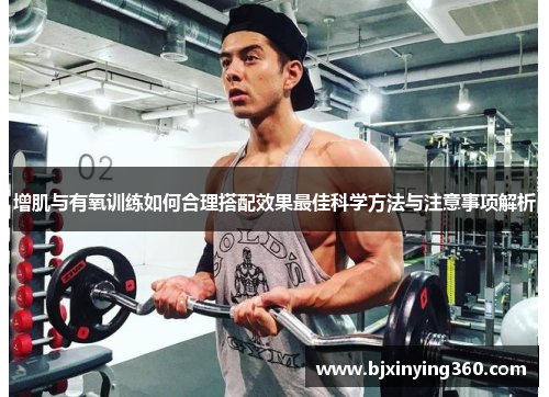 增肌与有氧训练如何合理搭配效果最佳科学方法与注意事项解析