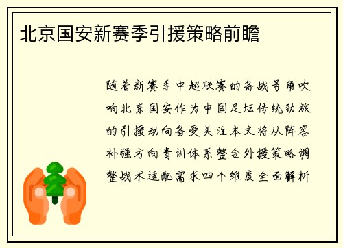北京国安新赛季引援策略前瞻